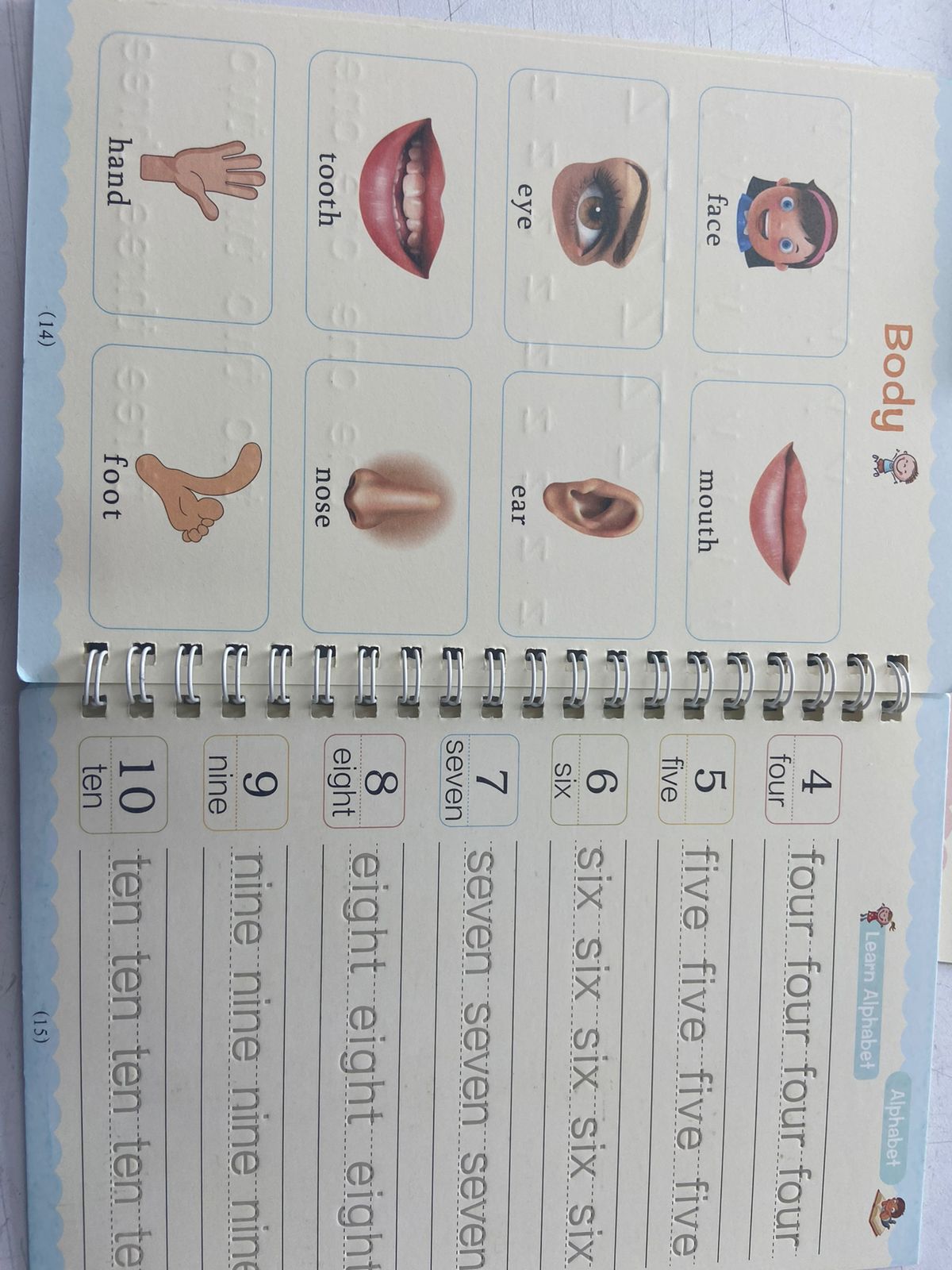 SET CALIGRAFIA MONTESSORI PARA NIÑOS: ¡Aprender Nunca Fue Tan Divertido!